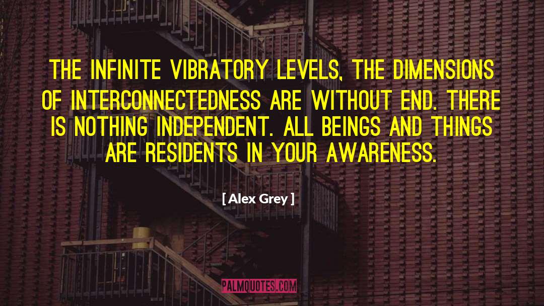 Maneuverability Dimensions quotes by Alex Grey