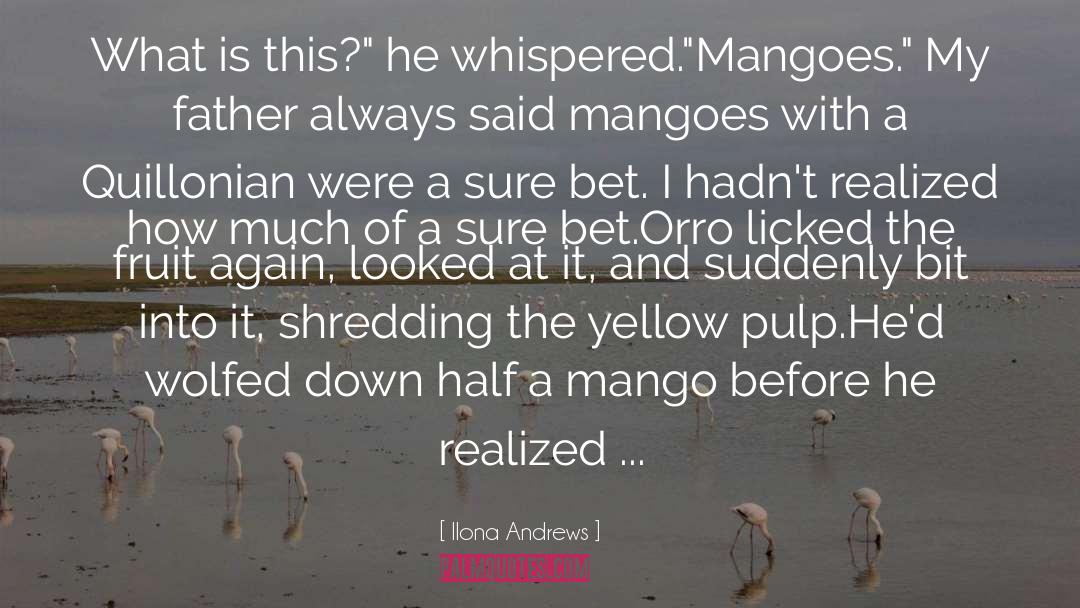 Mango quotes by Ilona Andrews