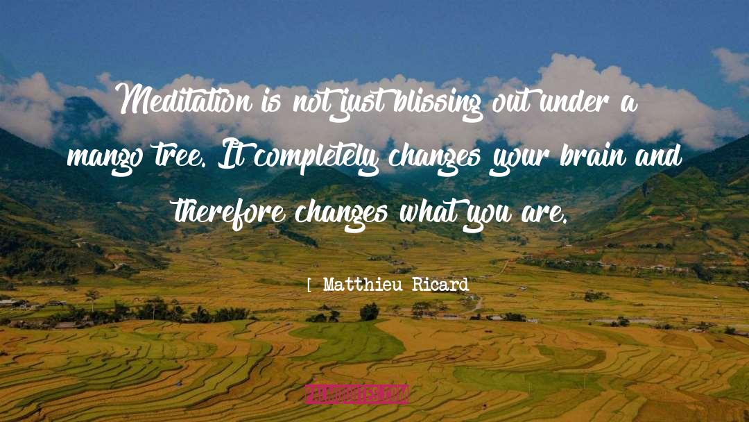 Mango quotes by Matthieu Ricard