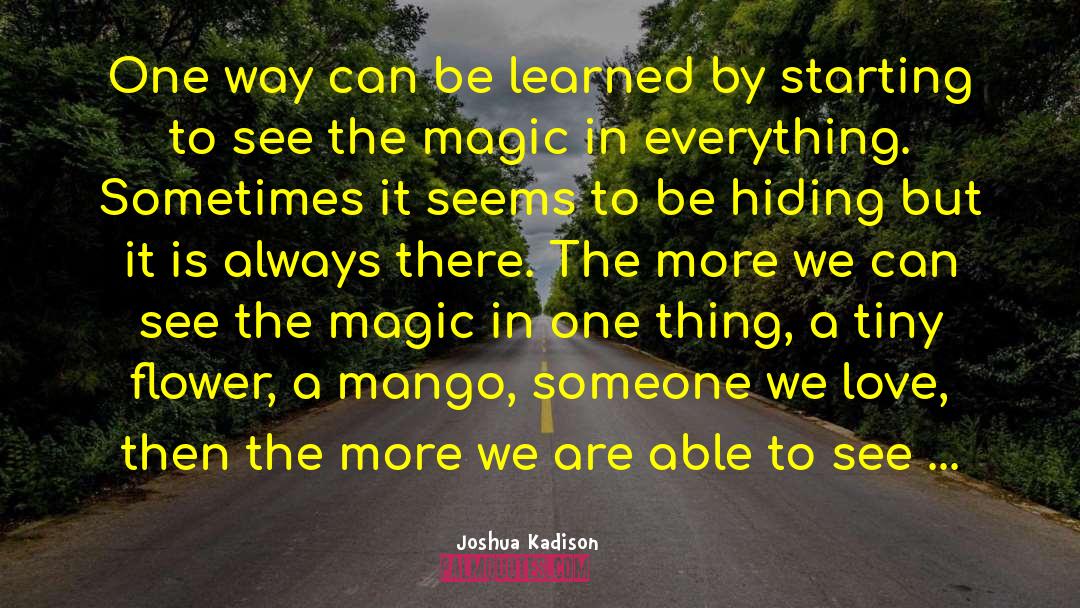 Mango quotes by Joshua Kadison