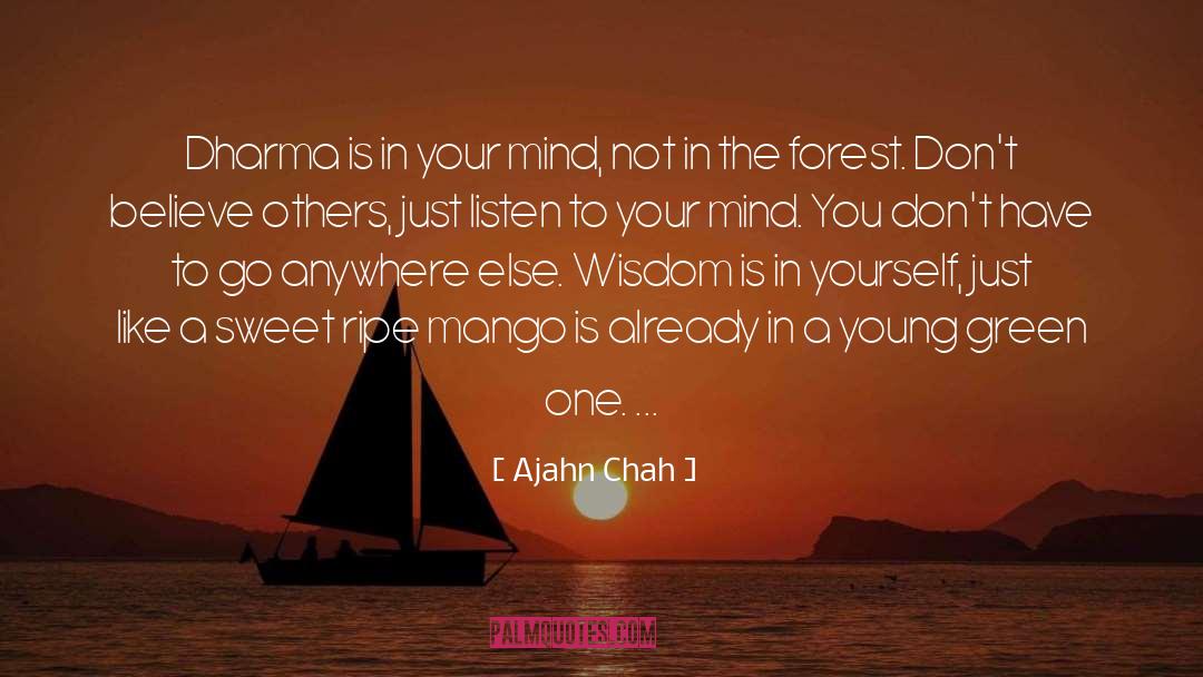 Mango quotes by Ajahn Chah