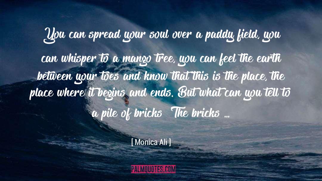 Mango quotes by Monica Ali