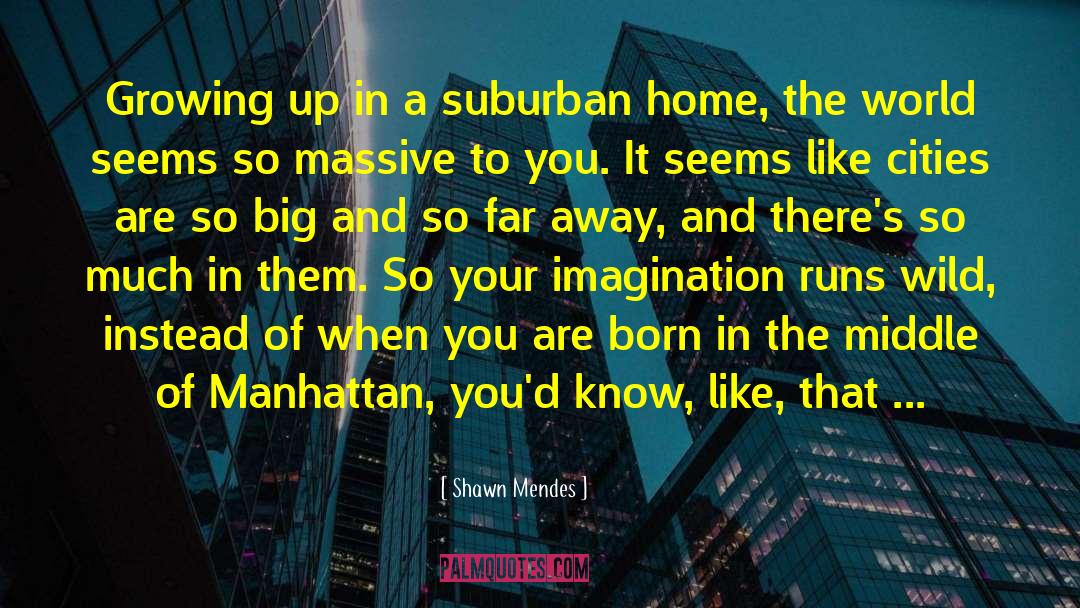 Manhattan Transfer quotes by Shawn Mendes