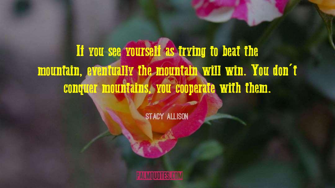 Manhead Mountain quotes by Stacy Allison