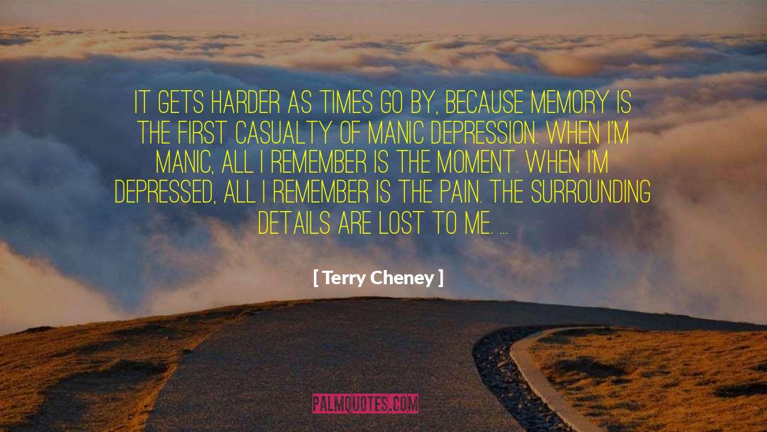 Manic Depression quotes by Terry Cheney