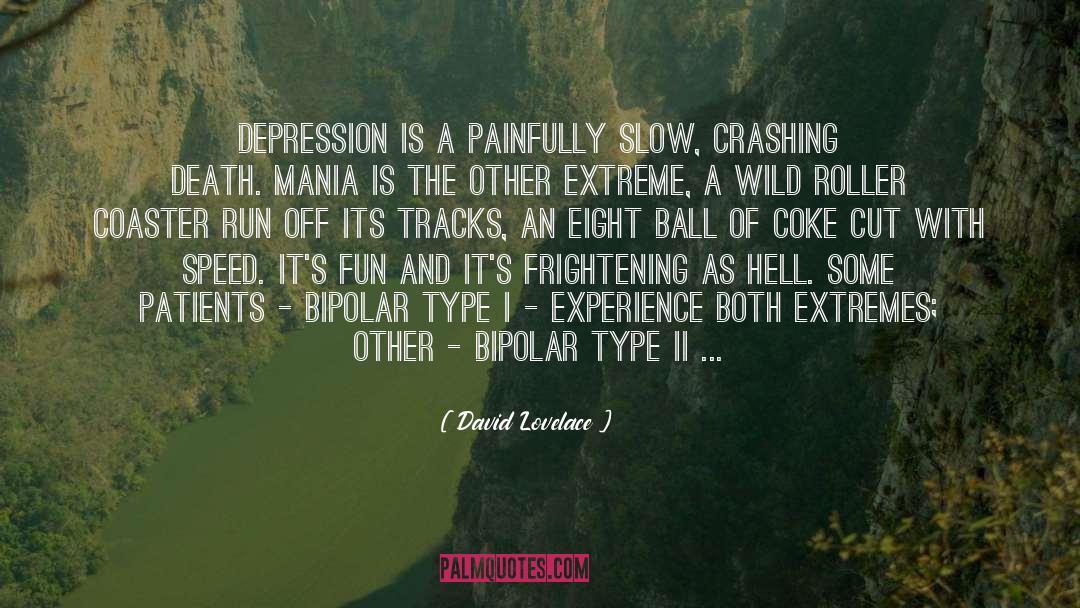 Manic Depression quotes by David Lovelace