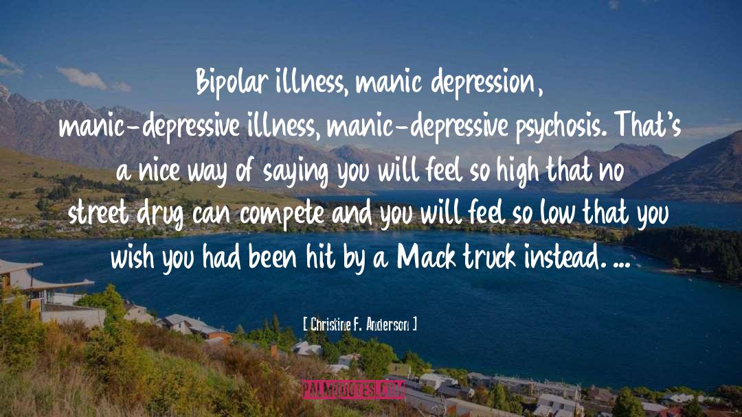Manic Depressive Ocd quotes by Christine F. Anderson