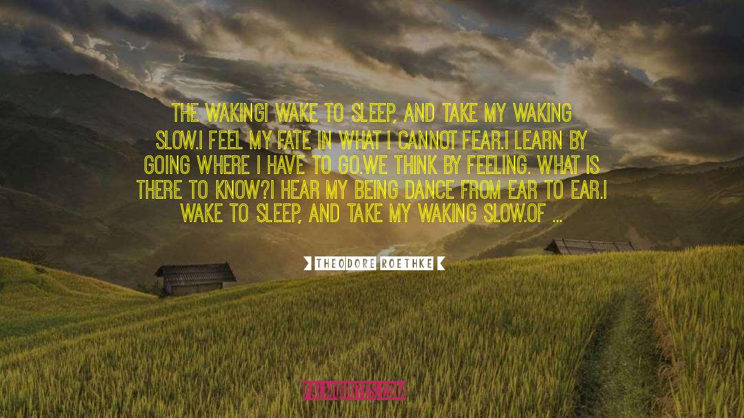 Manifest Destiny quotes by Theodore Roethke