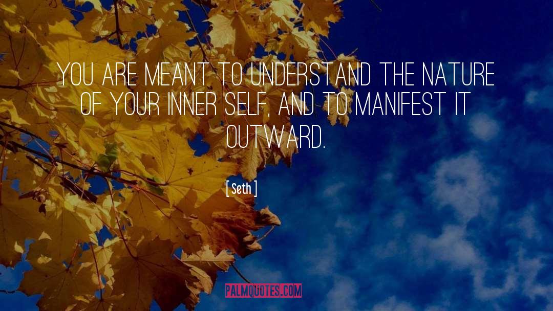 Manifest Your Soulmate quotes by Seth