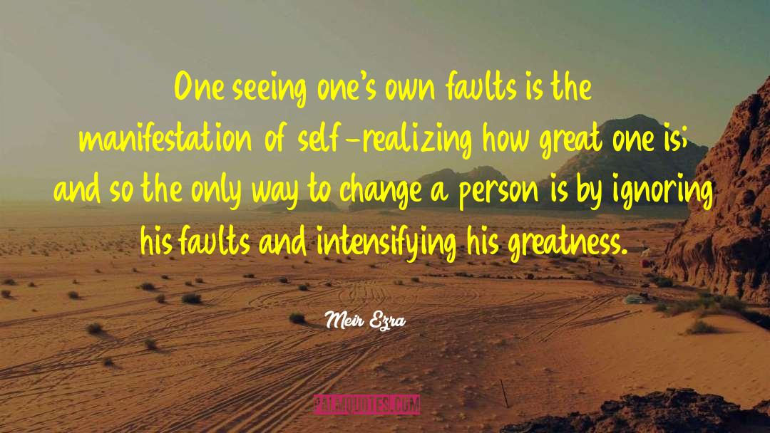 Manifestation quotes by Meir Ezra
