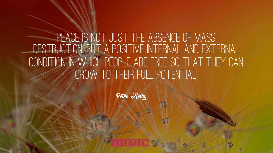 Manifesting Positivity quotes by Petra Kelly