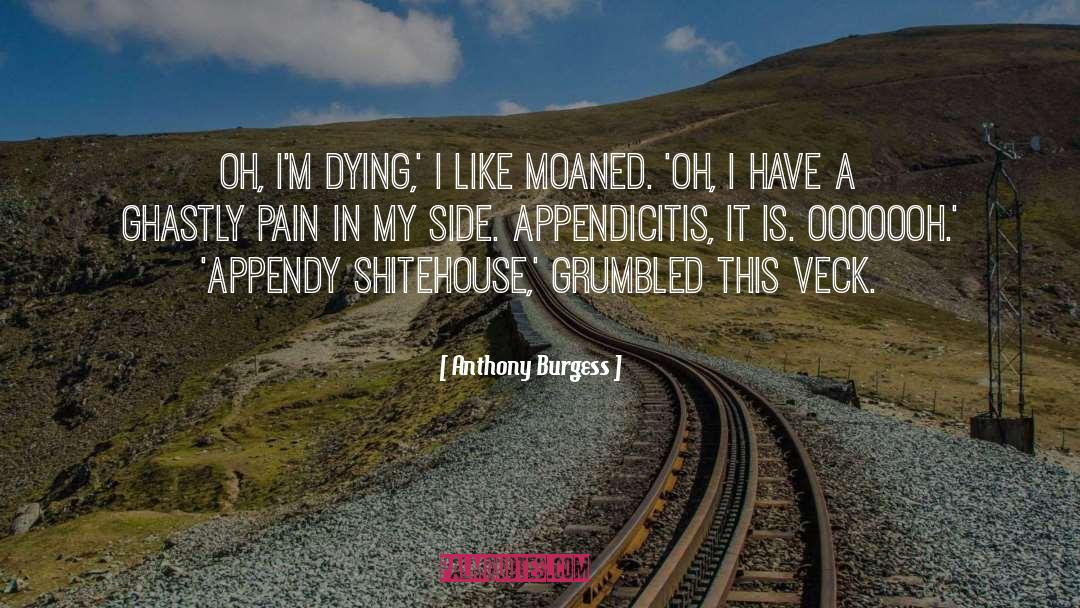 Maniobras Appendicitis quotes by Anthony Burgess