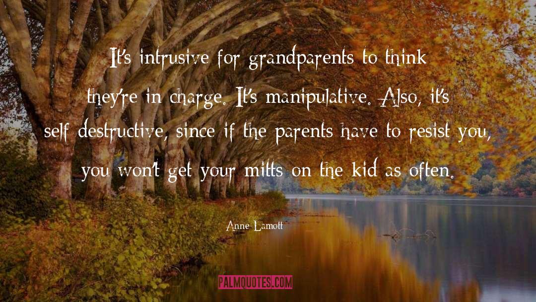 Manipulative quotes by Anne Lamott
