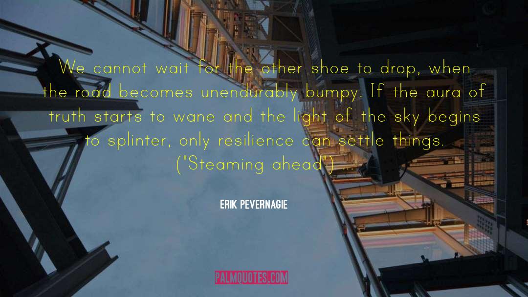 Manitous Shoe quotes by Erik Pevernagie