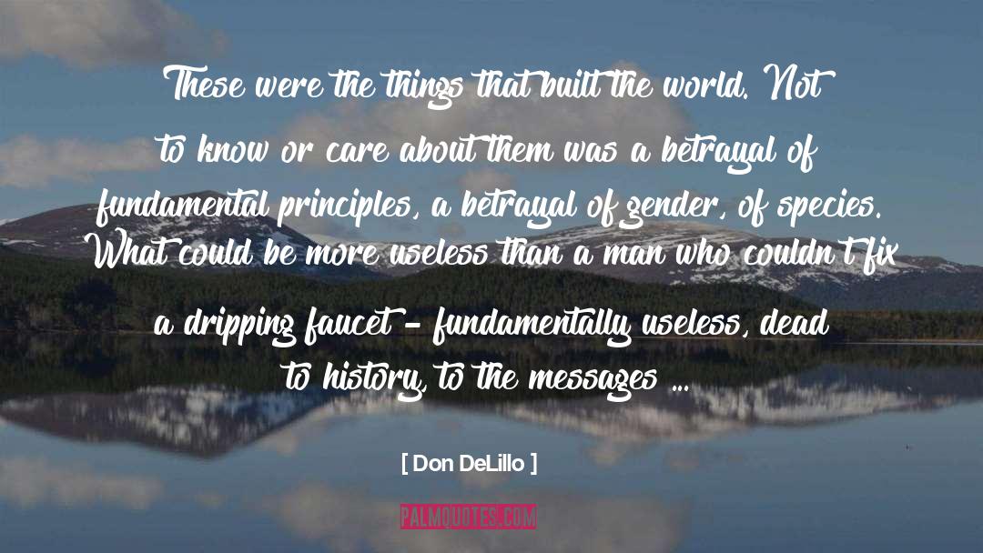 Manliness quotes by Don DeLillo