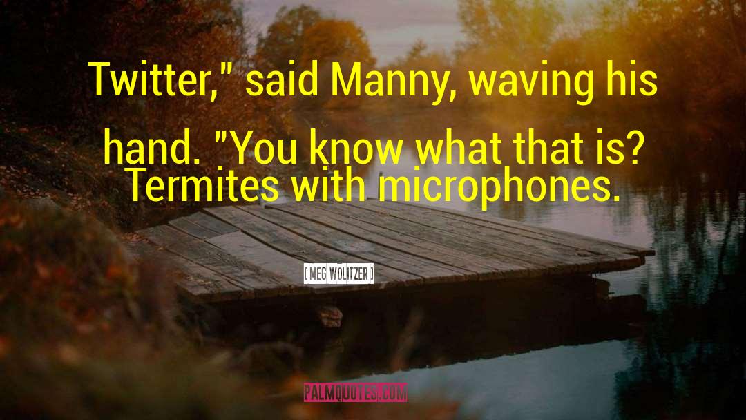 Manny Pacquiao quotes by Meg Wolitzer