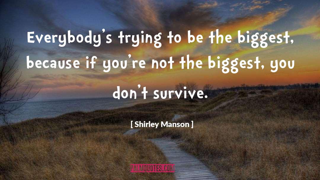 Manson quotes by Shirley Manson