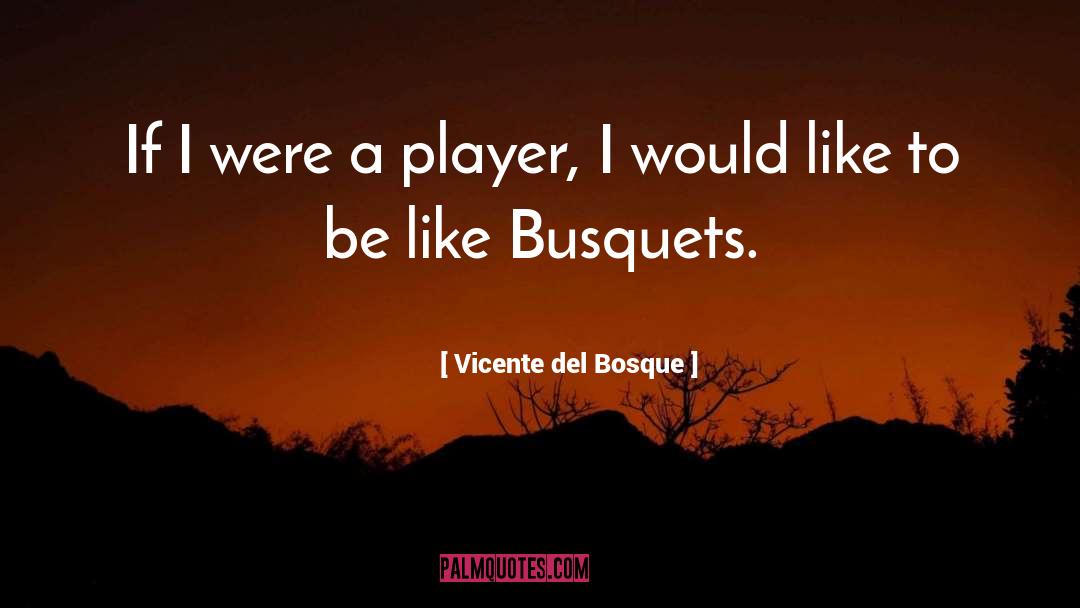 Mantillo De Bosque quotes by Vicente Del Bosque