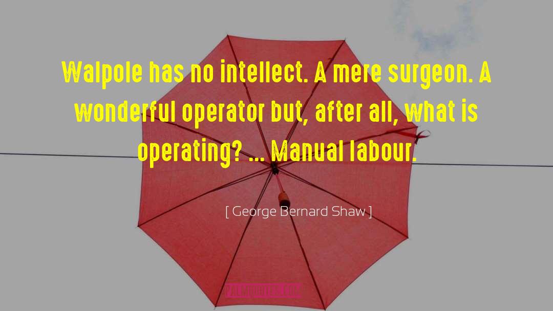 Manual Labour quotes by George Bernard Shaw