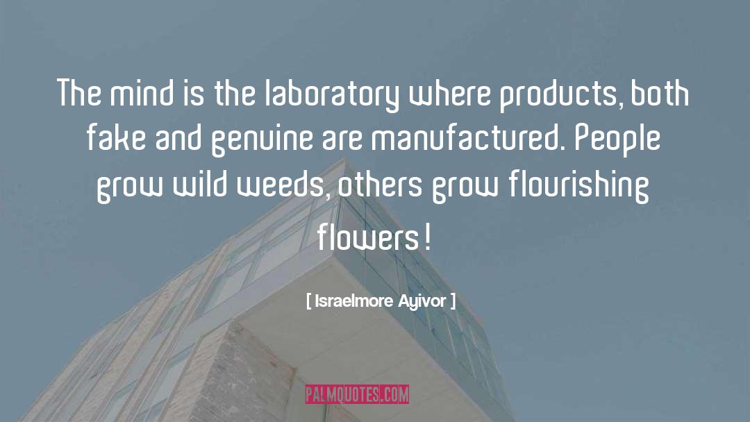 Manufacture quotes by Israelmore Ayivor