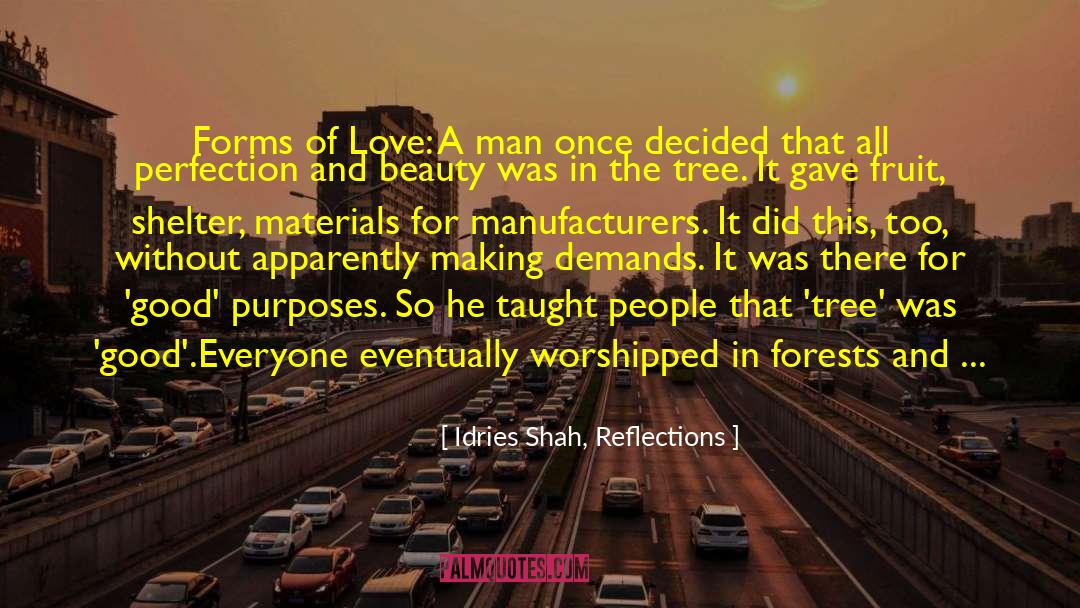 Manufacturers quotes by Idries Shah, Reflections