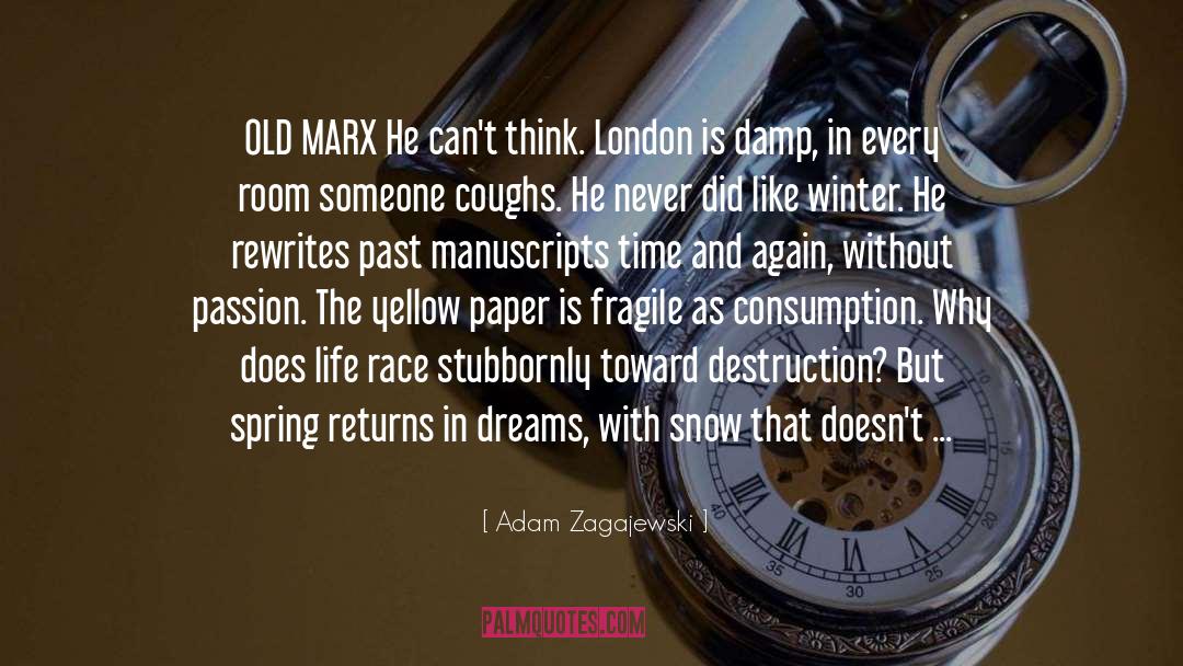 Manuscripts quotes by Adam Zagajewski