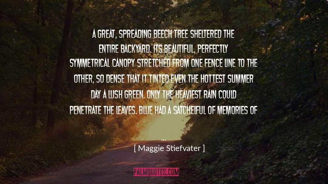 Manwarren Backyard quotes by Maggie Stiefvater