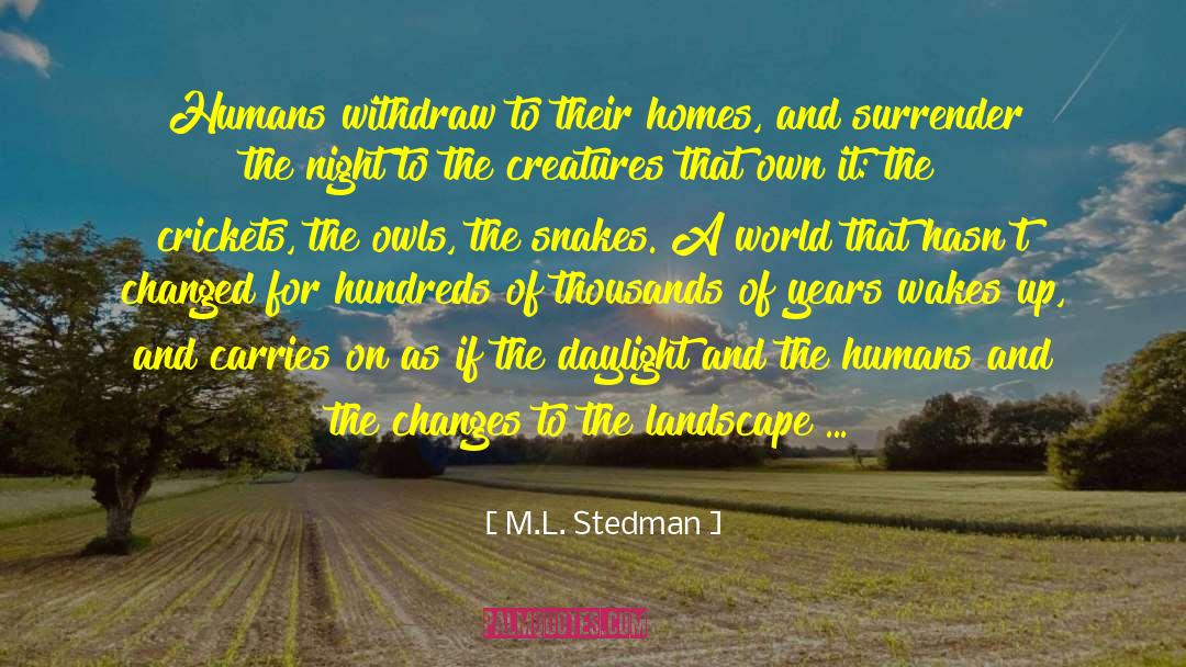 Many Homes quotes by M.L. Stedman