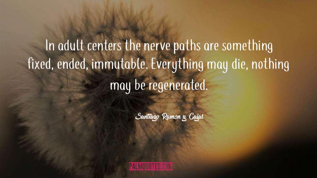 Many Paths quotes by Santiago Ramon Y Cajal