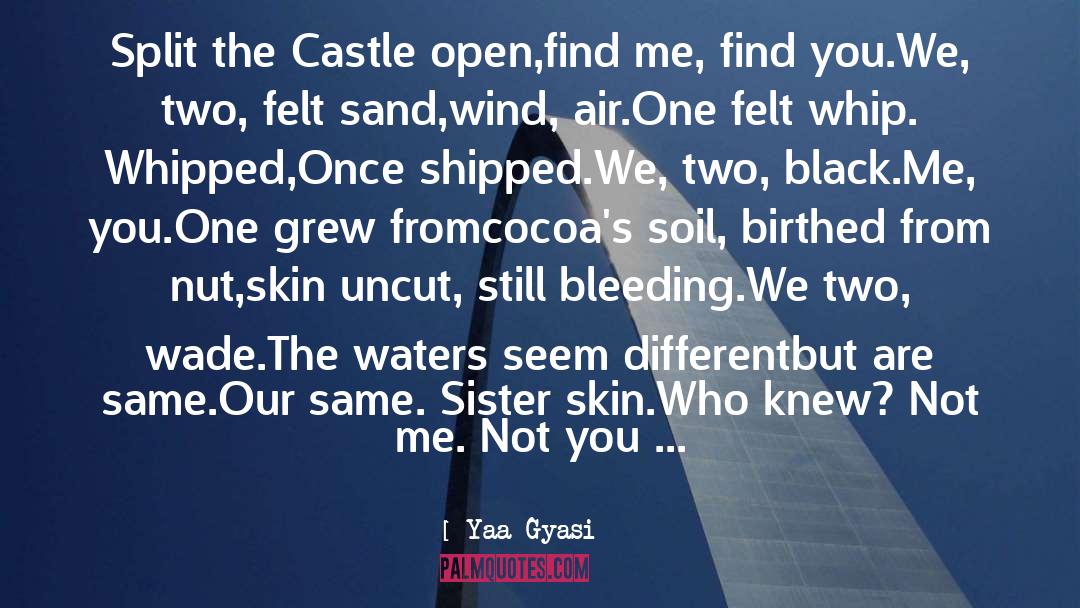 Manzanares Castle quotes by Yaa Gyasi
