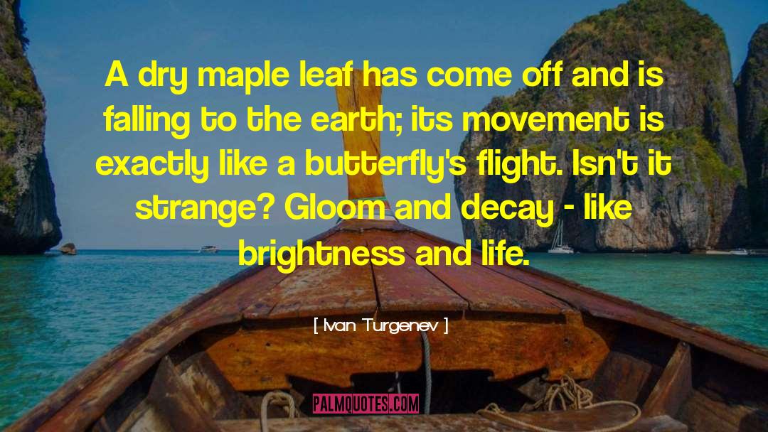 Maple And Mathematica quotes by Ivan Turgenev