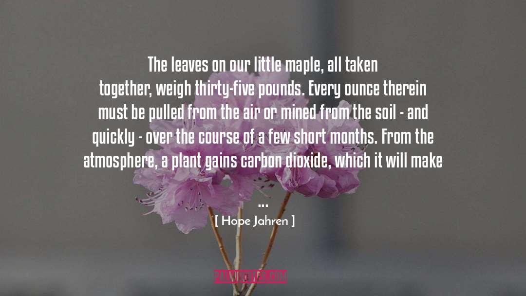 Maple quotes by Hope Jahren