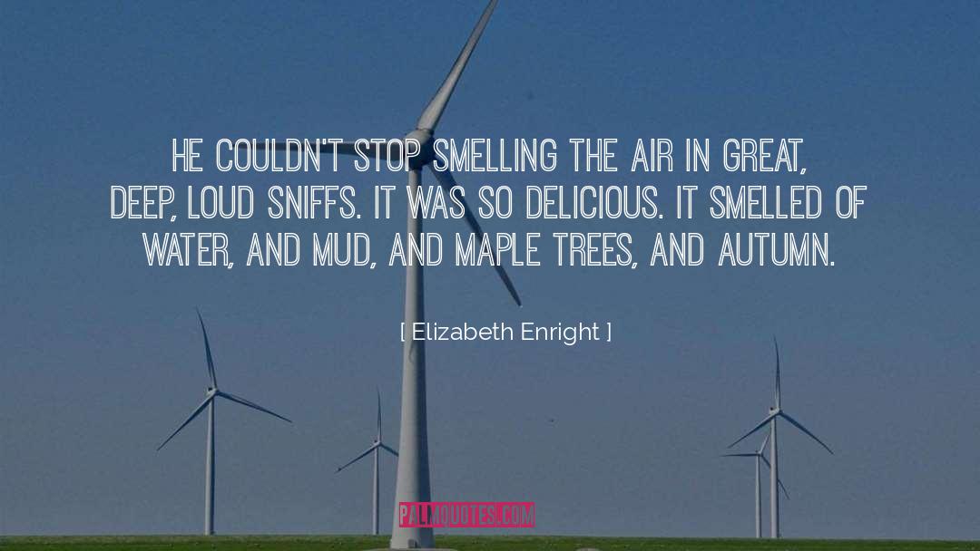 Maple quotes by Elizabeth Enright