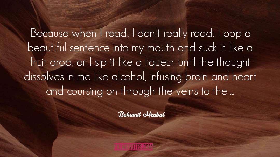 Marauded In A Sentence quotes by Bohumil Hrabal