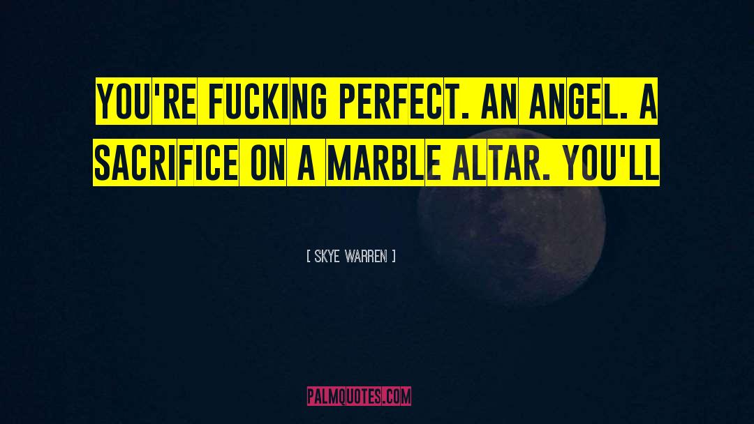 Marble Hornet quotes by Skye Warren