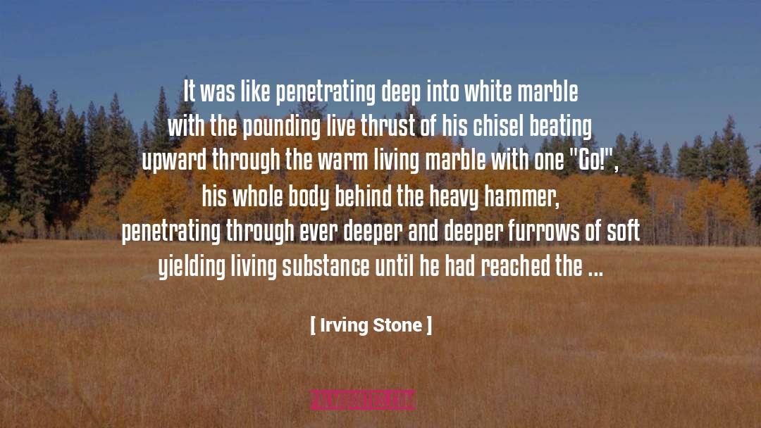 Marble Hornet quotes by Irving Stone