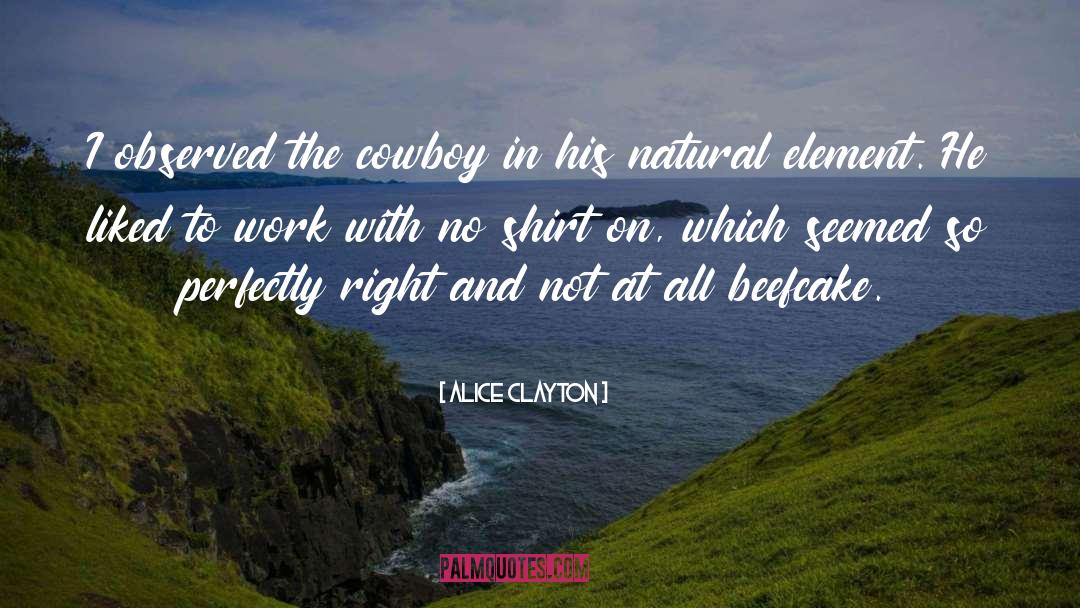 Marciante Cowboy quotes by Alice Clayton