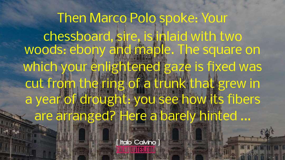 Marco Polo quotes by Italo Calvino