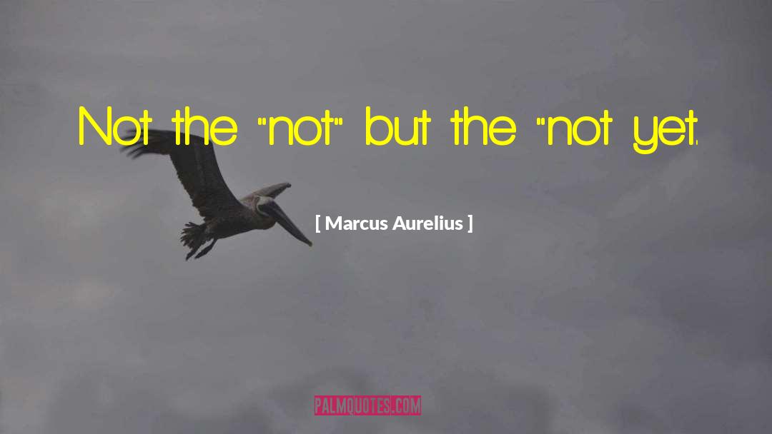 Marcus Garvey quotes by Marcus Aurelius