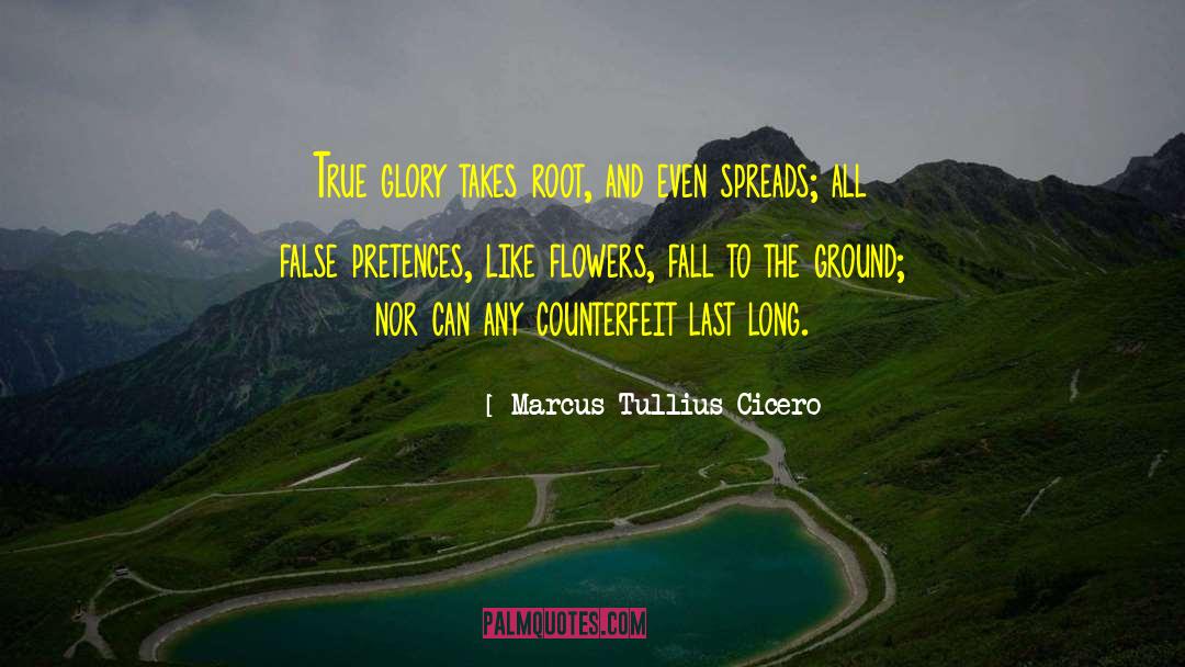 Marcus Hardy quotes by Marcus Tullius Cicero