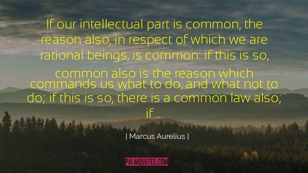 Marcus Hardy quotes by Marcus Aurelius