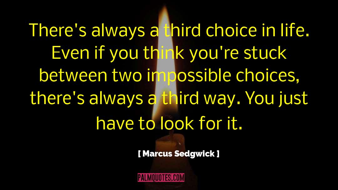 Marcus Sedgwick quotes by Marcus Sedgwick