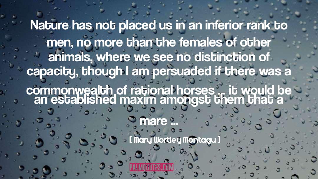 Mares Vs Gelding quotes by Mary Wortley Montagu