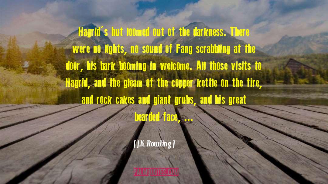 Marfa Lights quotes by J.K. Rowling