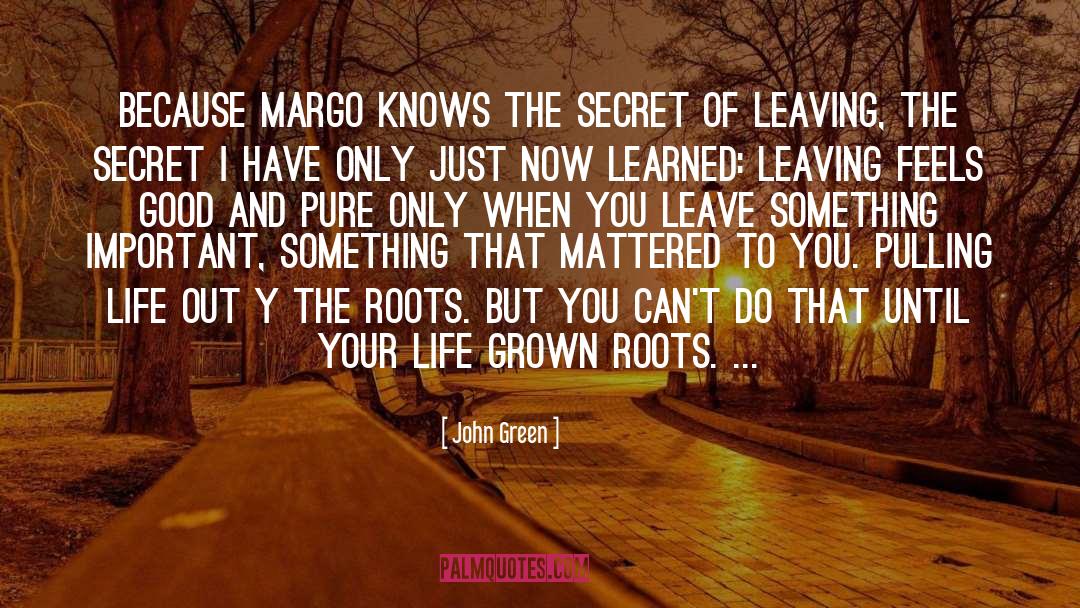 Margo Lanagan quotes by John Green