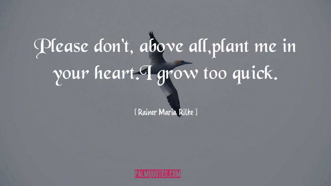 Maria Bamford quotes by Rainer Maria Rilke