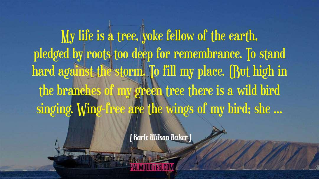 Marie Wilson quotes by Karle Wilson Baker