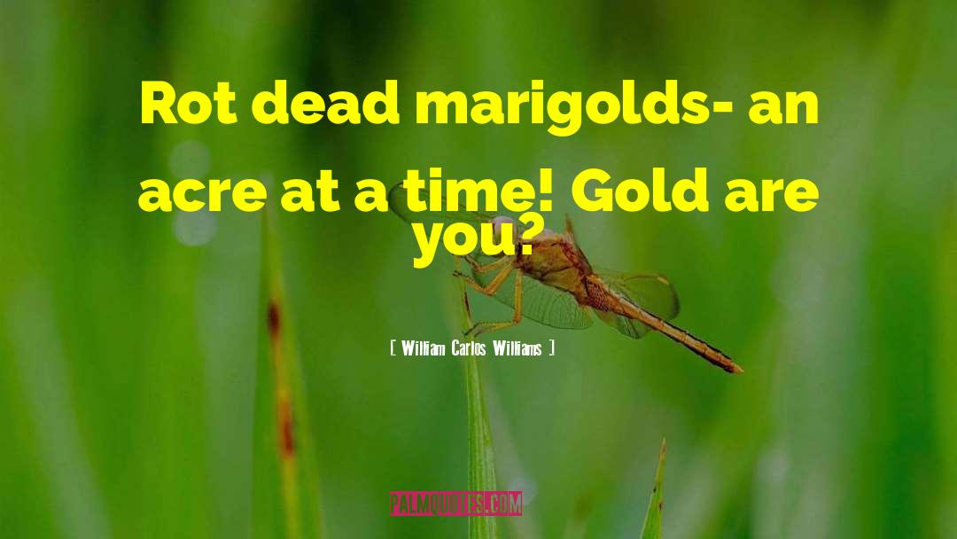 Marigolds quotes by William Carlos Williams