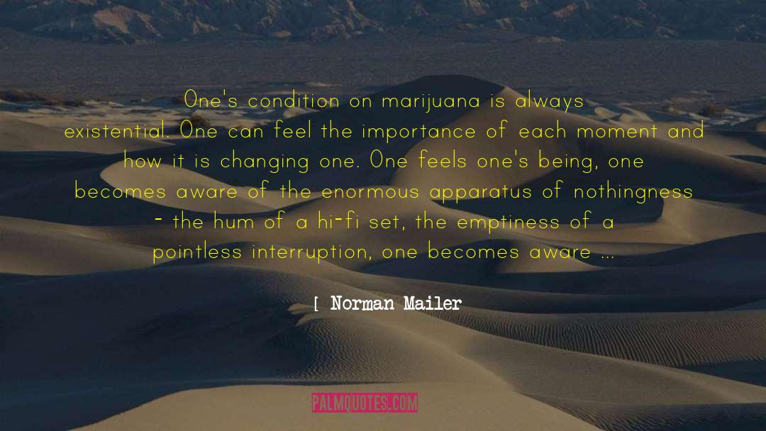 Marijuana Legalization quotes by Norman Mailer