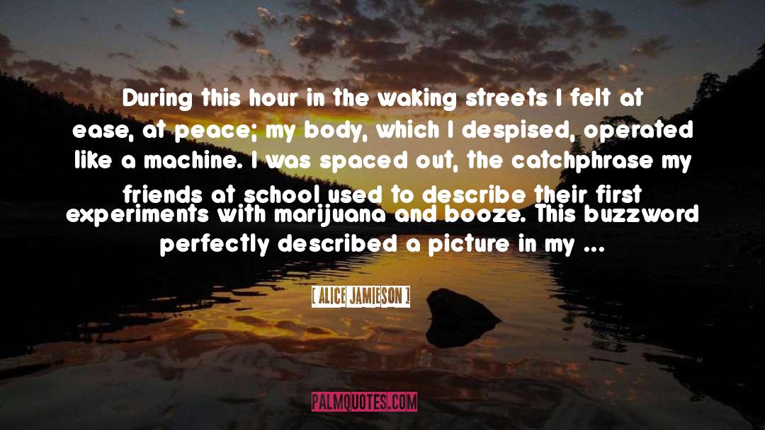 Marijuana Legalization quotes by Alice Jamieson